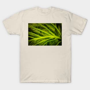 Abstract divergence T-Shirt